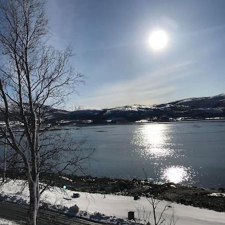 Trivelig Fritidshus Pa Arnes, Senja Straumstad 外观 照片