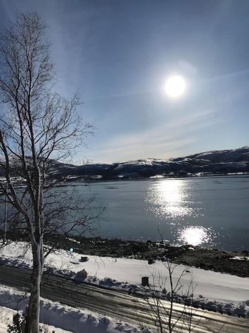 Trivelig Fritidshus Pa Arnes, Senja Straumstad 外观 照片