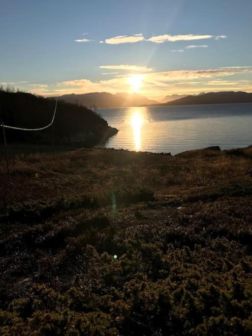 Trivelig Fritidshus Pa Arnes, Senja Straumstad 外观 照片