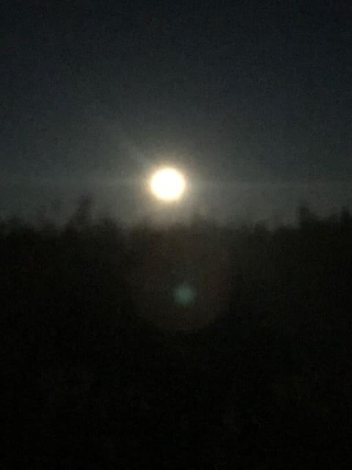 Trivelig Fritidshus Pa Arnes, Senja Straumstad 外观 照片