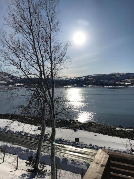 Trivelig Fritidshus Pa Arnes, Senja Straumstad 外观 照片